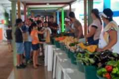 WhatsApp-Image-2024-04-29-at-6.56.31-PM-3